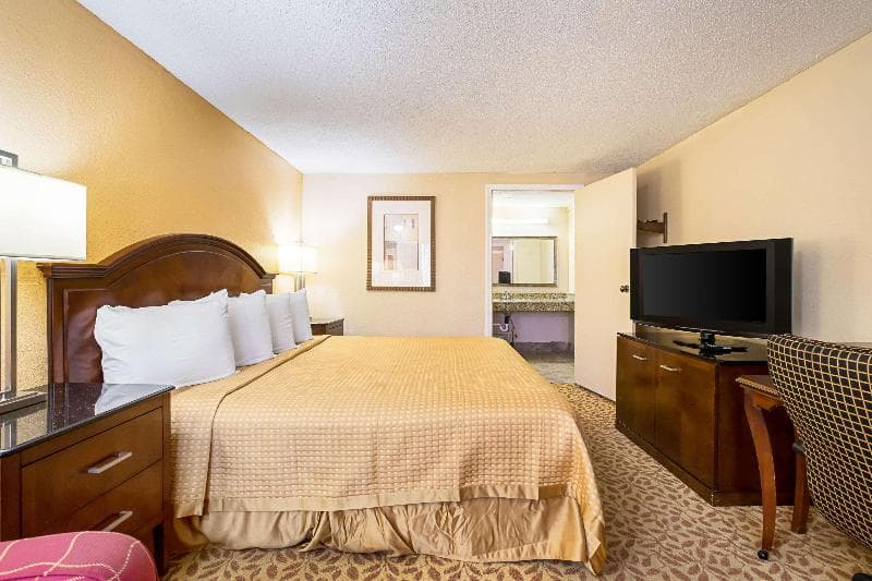 Rodeway Inn Metro Airport 5