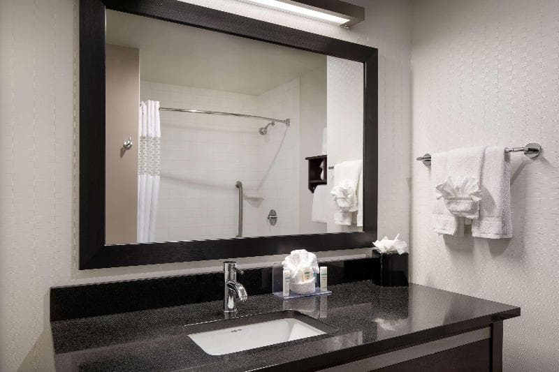 Hampton Inn & Suites Denver Downtown-Convention Center 5