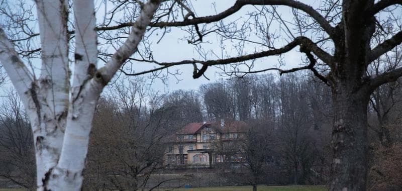 Waldhaus Jakob 5