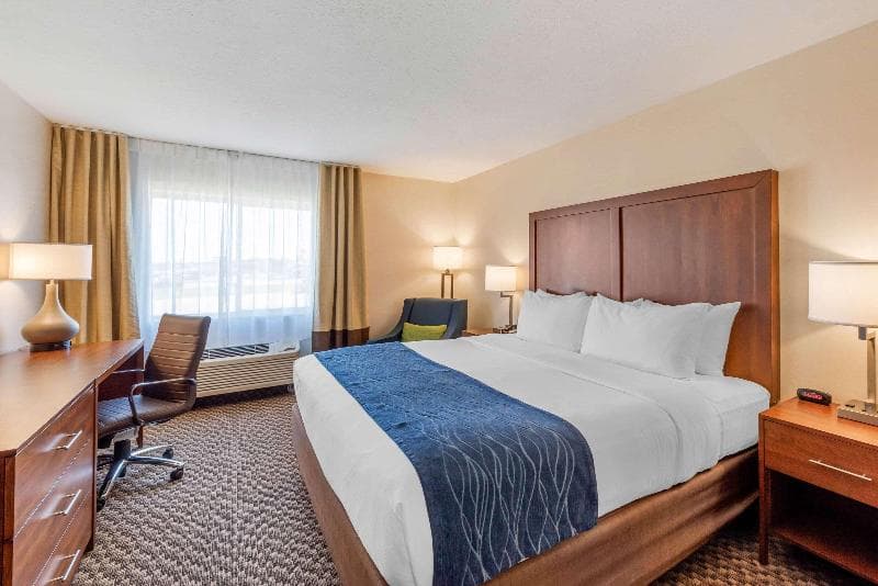 Comfort Inn & Suites Near Route 66 2