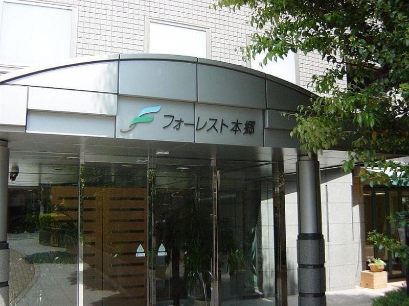 Forest Hongo main