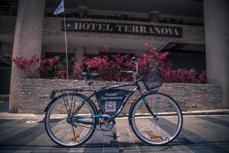 Terranova 5