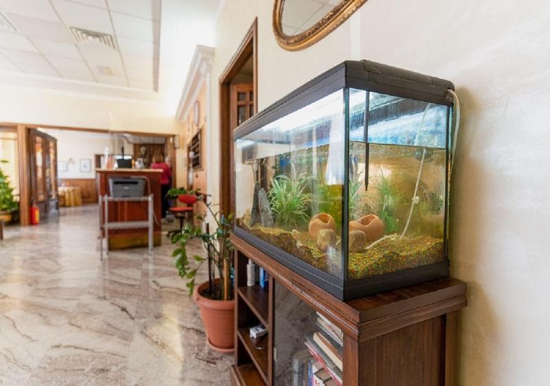 Villa Delle Rose 3