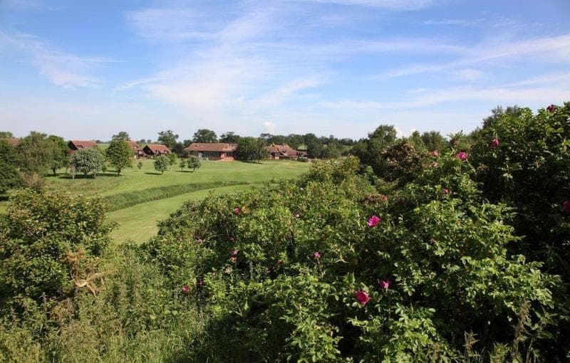 Barnham Broom (Adults Only) 2