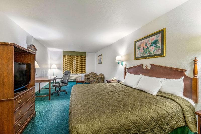 Rodeway Inn 5