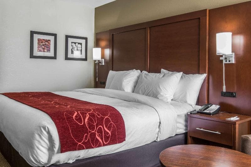 Comfort Inn & Suites photo 1