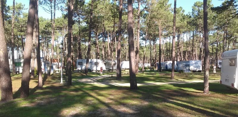 Orbitur Vagueira 3