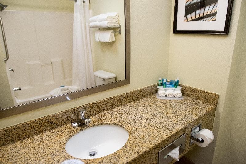 Holiday Inn Express And Suites Chanhassen 3