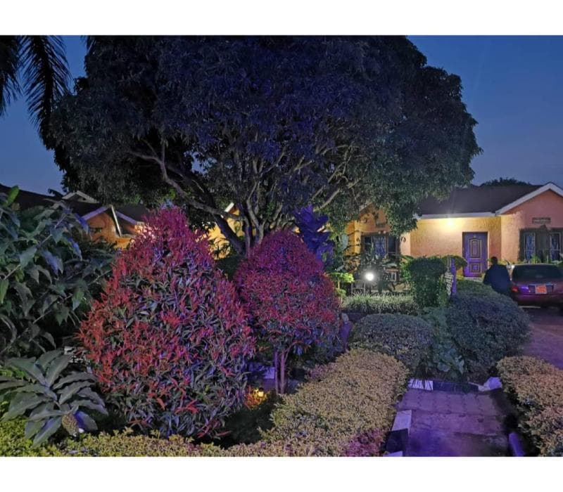 Gorilla African Guest House 5