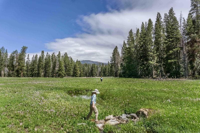Holiday Inn Express & Suites Oakhurst-Yosemite Park Area 3