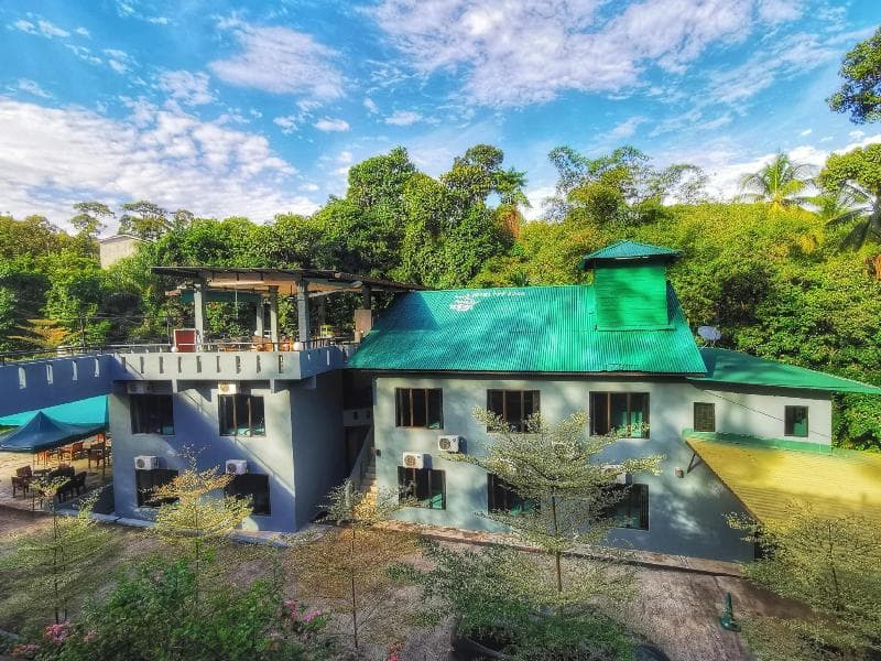 Green Peace Sungai Lembing 4