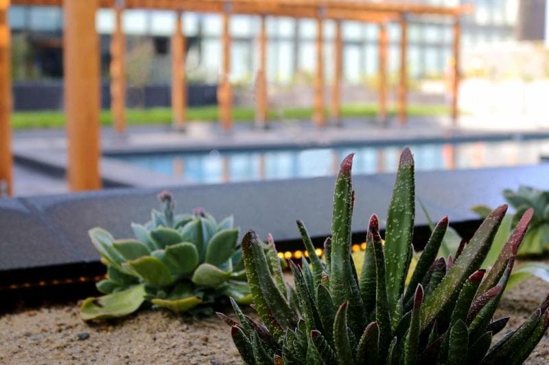 Quartz Hotel & SPA 4
