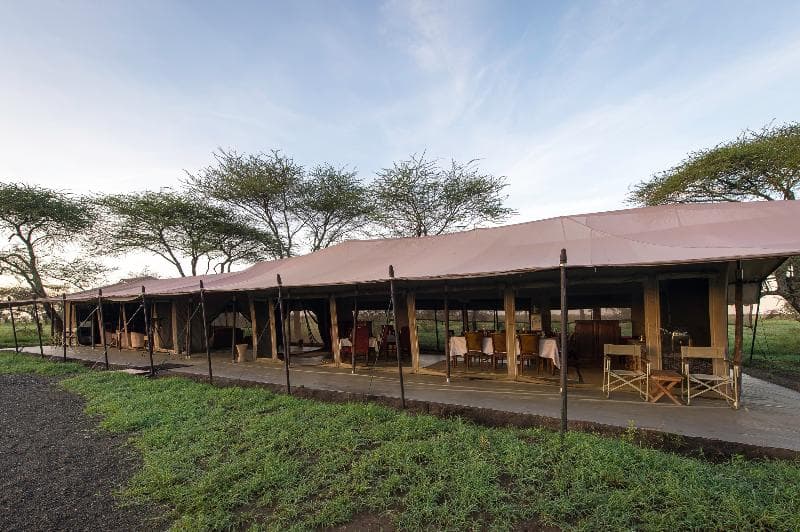 Karibu Camps & Lodges – Serengeti Woodlands Camp photo 1