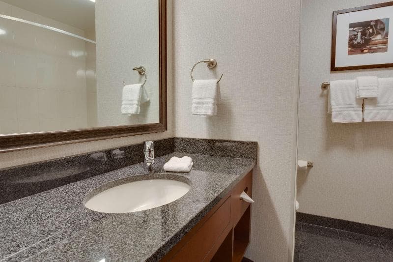 Drury Plaza Hotel St. Louis St. Charles 4