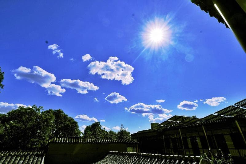 Puremind Courtyard 4