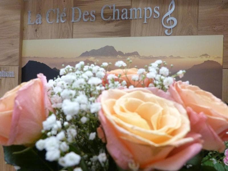 Logis Hotel La Cle Des Champs 5