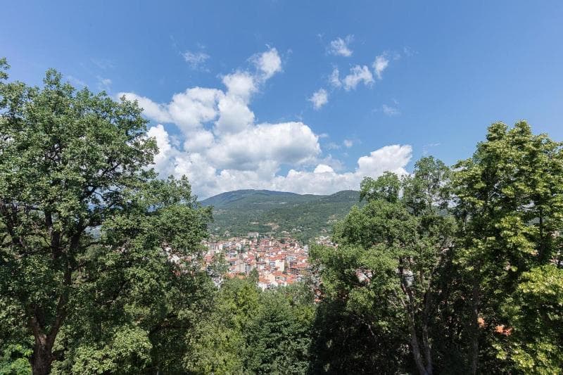 The Lynx Mountain Resort 5