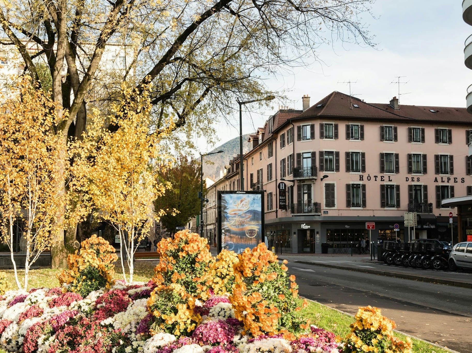 Hôtel Des Alpes main